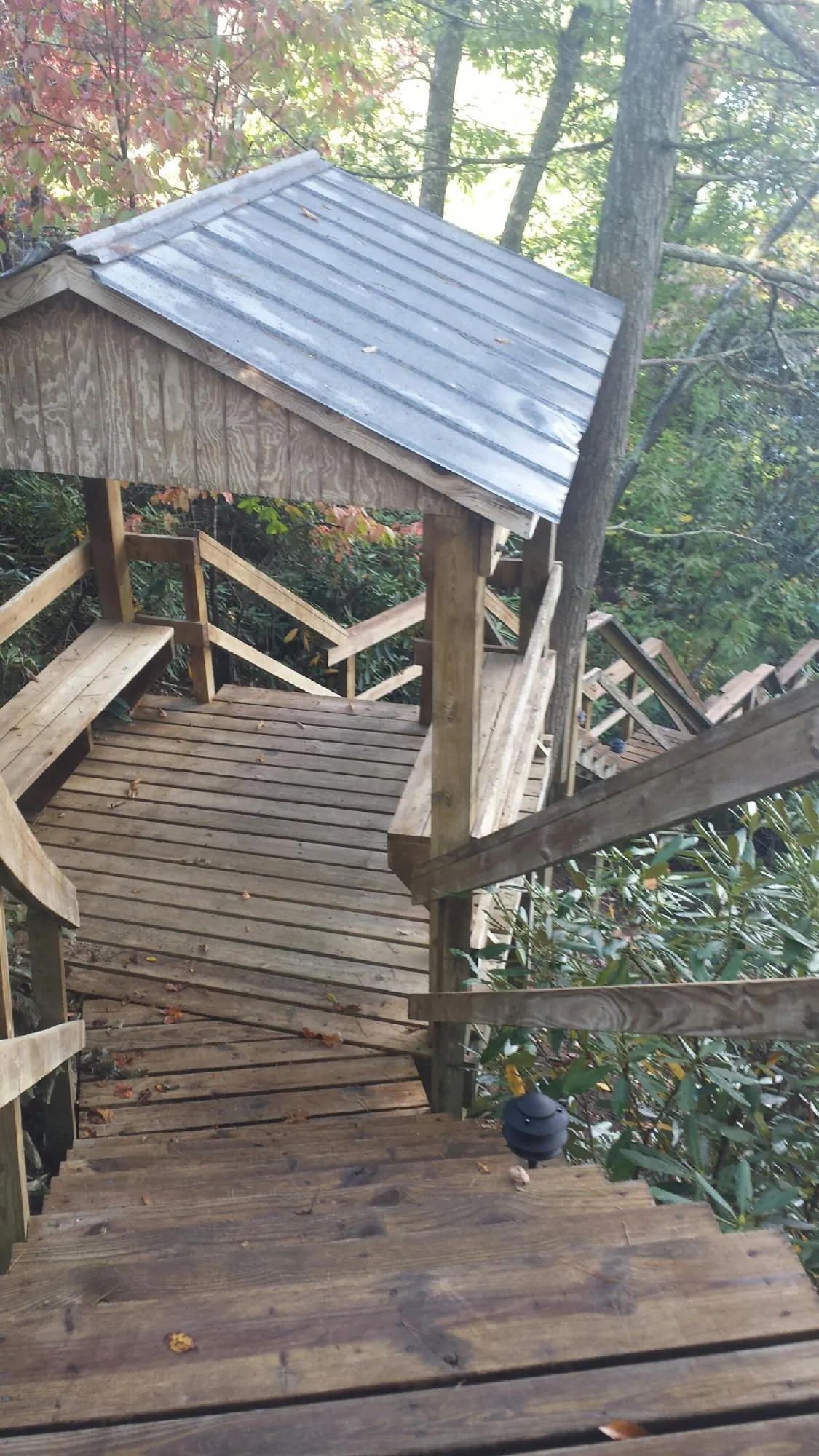 Metal roofed shelter over wooden steps on a wooded walkway — Skylight Repair & Installation work by our crew in Veedersburg